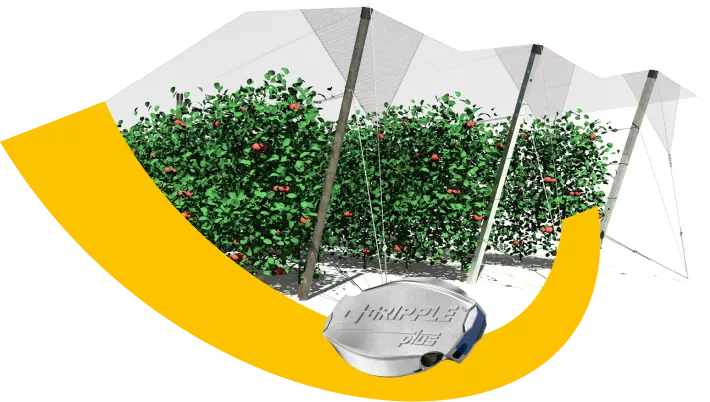 Gripple Plus Pequeno para Cercas (1,40-2,20mm - 300kg) 3